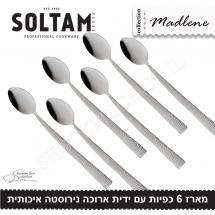 מארז 6 כפיות עם ידית ארוכה מדלן סולתם