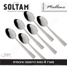 מארז 6 כפות מדלן סולתם